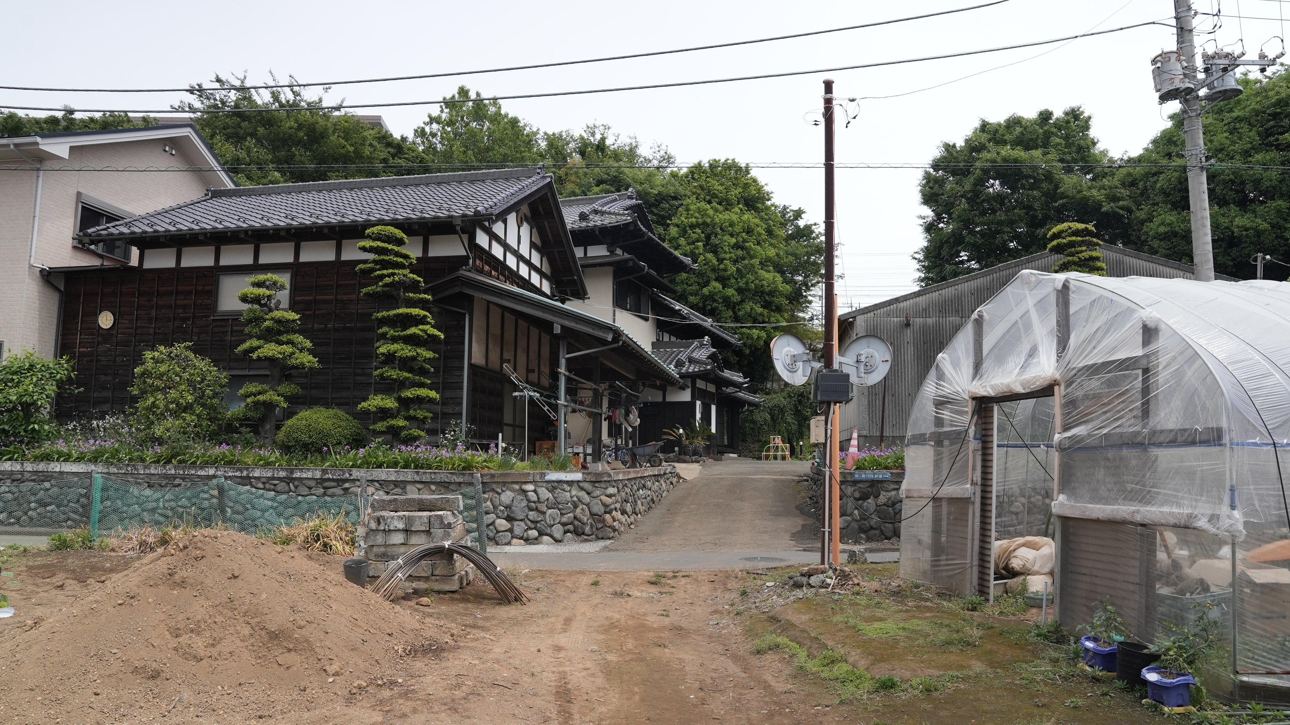 採れたて野菜を届ける『齋藤農園』（前編） | ケの日のこのまち | 妙蓮